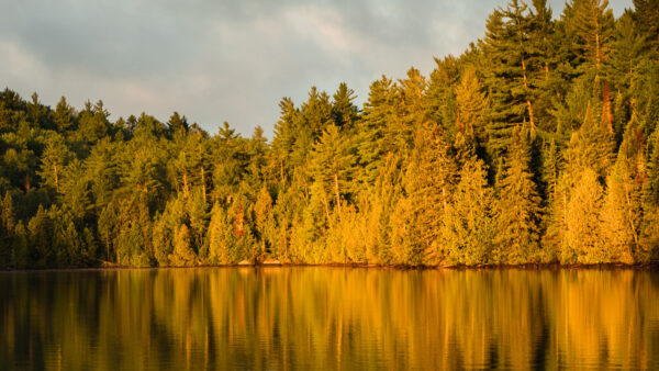 Wallpaper Blue, Sky, During, Desktop, Reflection, Leaves, Autumn, Daytime, Mobile, Lake, Green, Forest, Trees, Under, Yellow, Nature