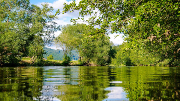 Wallpaper Reflection, Green, Mountains, View, Nature, Plants, River, Trees, Landscape