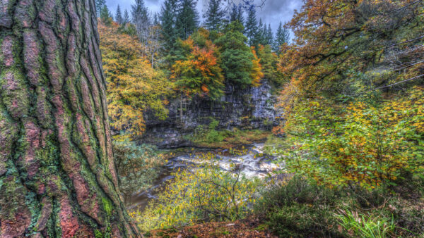 Wallpaper Orange, Trees, Clouds, Yellow, Leaves, Green, Sky, Black, River, Stream, Blue, Red, Under, Autumn