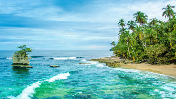 Wallpaper Palm, Ocean, Nature, Tree, Sea, Horizon, Costa, Rica, Rock
