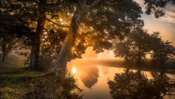 Wallpaper Reflection, River, During, With, Fog, Bushes, Green, Trees, Sunset