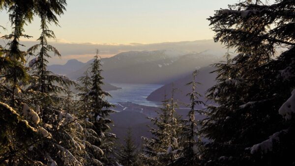 Wallpaper Mobile, Trees, Mountains, Landscape, Frozen, Desktop, And, Branches, River, Spruce, View, With, Snow, Winter