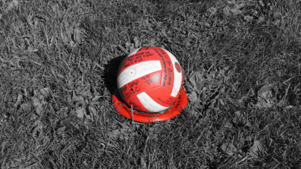 Wallpaper With, Grass, Volleyball, Red, White, Words