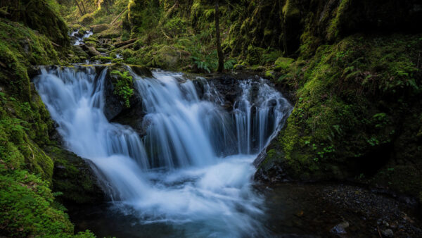 Wallpaper Pouring, Green, From, Waterfalls, Nature, Plants, Covered, River, Rocks, Stream, Algae