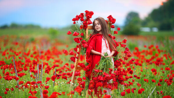 Wallpaper Field, Between, Blur, Center, Green, With, Roses, Standing, Loose, Red, Girl, Hair, Cute, Background, Desktop