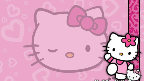 Wallpaper Kitty, Small, And, Face, Background, Desktop, Hello, Kity, Big
