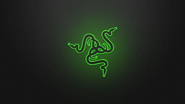 Wallpaper Razer, Green, Background, Desktop, Hexagon, Black, Logo