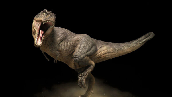 Wallpaper Desktop, Dinosaur, Shouting, With, Background, Black