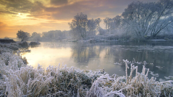 Wallpaper Trees, Desktop, Sunset, Lake, During, Snow, With, Covered, Nature