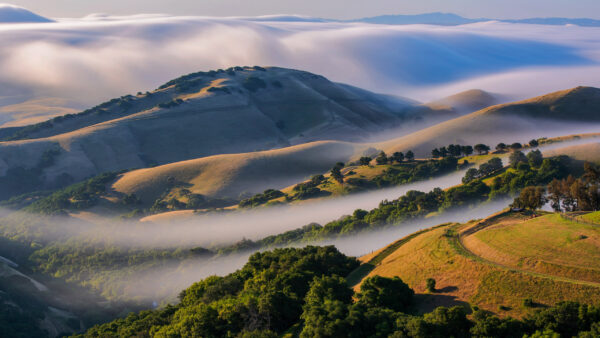 Wallpaper Landscape, Nature, Trees, View, Hill, Forest, Covered, And, Fog