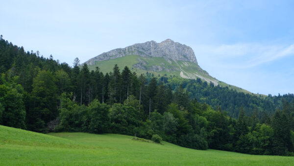 Wallpaper Forest, Sky, Mountain, Slope, Mobile, Desktop, Grass, Trees, Background, Green, Nature, Blue
