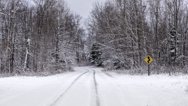 Wallpaper Winter, Snow, Trees, Daytime, Field, Covered, During, Desktop, Mobile