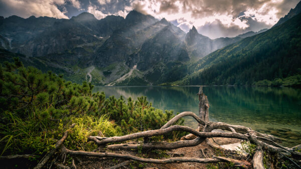 Wallpaper Slope, View, Sunrays, Reflection, River, Background, Greenery, Landscape, Nature, Mountains