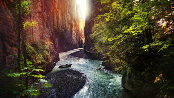 Wallpaper River, Trees, Green, Rock, Mountains, Nature, Stream, Between