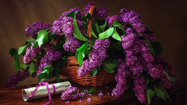 Wallpaper With, Leaves, Flowers, Inside, Purple, Basket, Bamboo