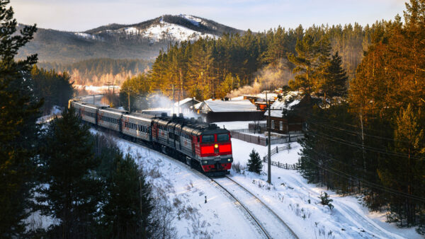 Wallpaper Railway, Track, Spruce, Forest, Winter, Rail, Scenery, Trees, Nature, Snow