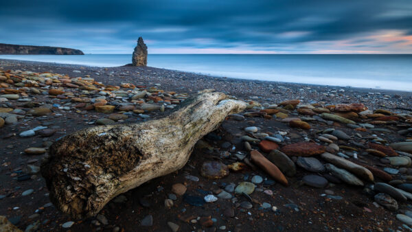 Wallpaper View, Ocean, Trunk, Stones, Tree, Under, Sky, Blue, Log, Mountain, Wood, Nature