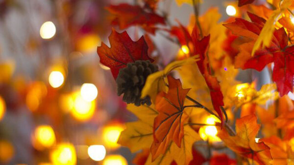 Wallpaper Yellow, Background, Bokeh, Lights, Red, Autumn, Leaves