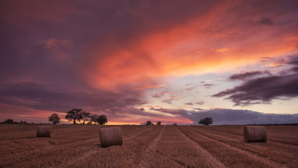 Wallpaper Clouds, Yellow, Sky, Under, Field, Nature, Haystack, Black, Blue