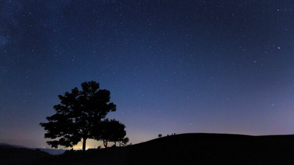 Wallpaper Dark, During, Starry, Sky, Tree, Mountain, Nighttime, Silhouette, Background, Mobile, Desktop