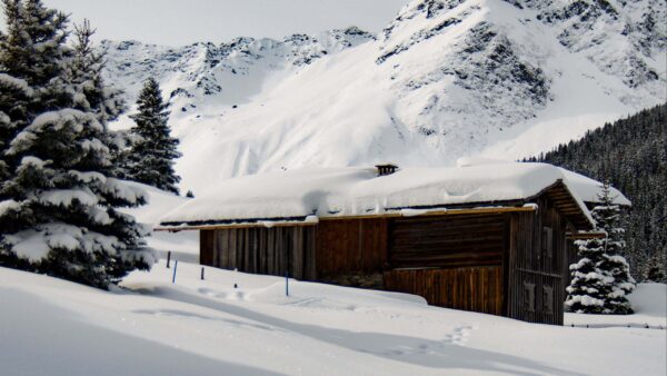 Wallpaper Nature, Winter, House, Mountains, Trees, Scenery, Covered, Snow, Branches