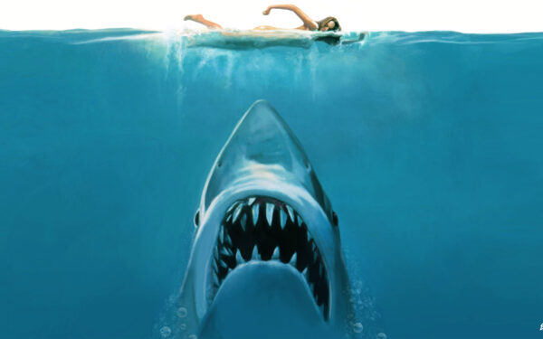 Wallpaper Movie, Jaws, Concept