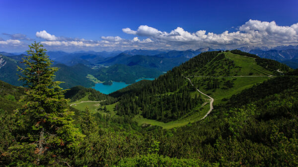 Wallpaper Trees, Desktop, River, Forest, Green, Mountain, Under, Blue, Landscape, And, Covered, Movies, Sky