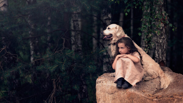 Wallpaper Cute, Little, Retriever, With, Sitting, Girl, Desktop, Rock, Labrador