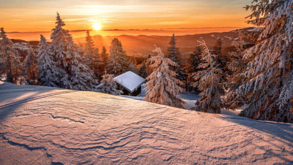 Wallpaper Mountain, House, Covered, And, Sunrise, Snow, Trees, During, Winter