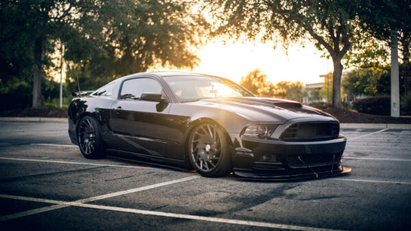 Wallpaper Cars, Mustang, Desktop, Ford