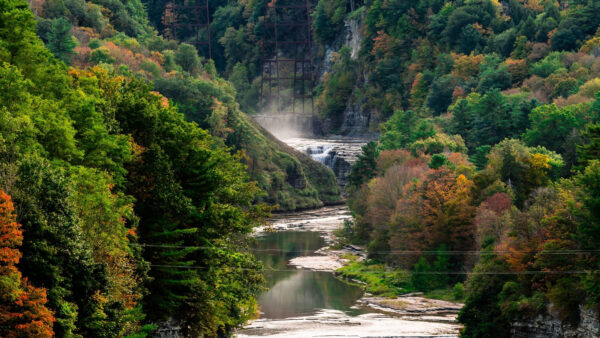 Wallpaper Colorful, Landscape, And, Desktop, Nature, Mobile, Waterfall, Between, Trees, View, River, Autumn, Forest, Covered