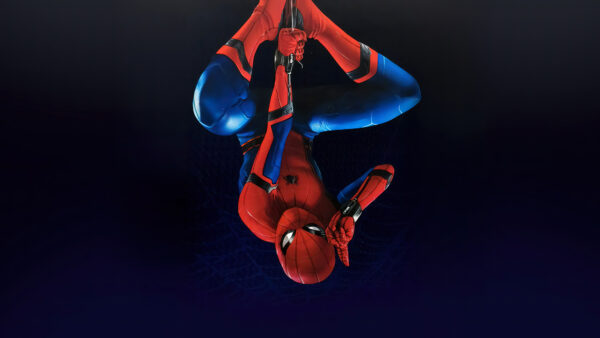 Wallpaper Spider-man, Suit