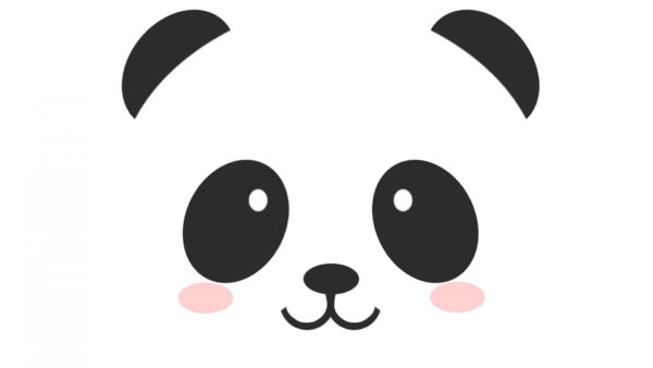 Wallpaper Background, Panda, Face, Desktop, White