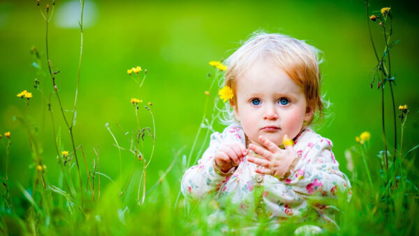 Wallpaper Baby, Child, White, Eyes, Background, Hair, Green, Flowers, Sitting, Blue, Printed, Cute, Dress, Wearing