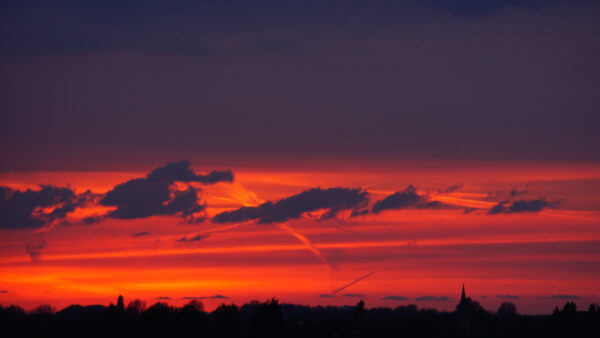 Wallpaper Background, Silhouette, Beautiful, Sunset, View, Mobile, Desktop