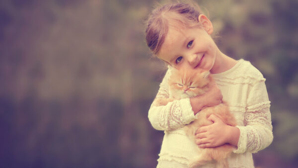 Wallpaper White, Smiley, Standing, Dress, Desktop, Blur, Wearing, Girl, Kitten, Brown, Cute, Cat, Little, Background, With