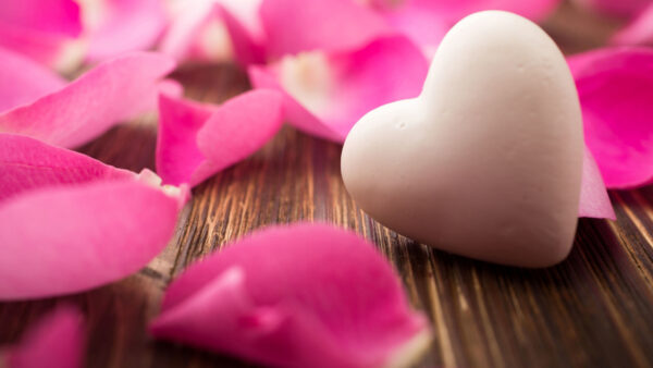 Wallpaper Table, Heart, Pink, Petals, White, Rose, Love, Shape, Wood