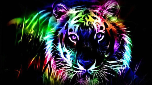 Wallpaper Black, Background, Image, Desktop, Colorful, Neon, Tiger