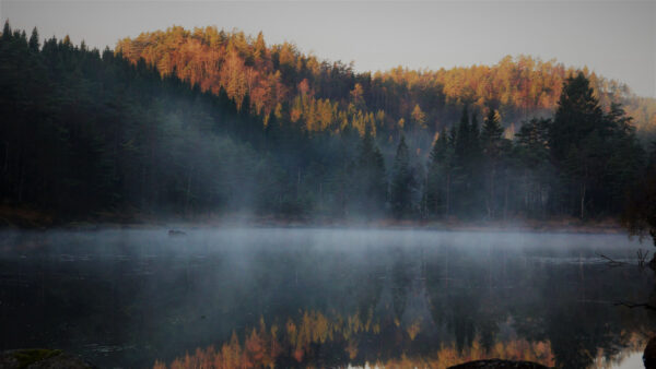 Wallpaper With, Desktop, Colorful, Autumn, Background, Leaves, Mobile, Fog, Between, Forest, Nature, Trees, Lake