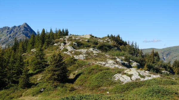 Wallpaper Mobile, Desktop, Blue, Bushes, Mountains, Sky, Trees, Green, Under, Nature, Rocks