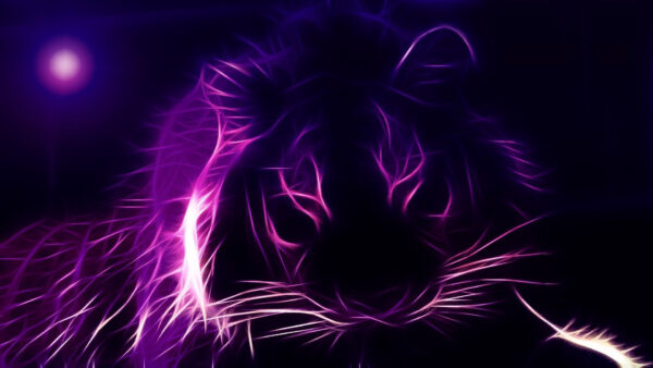 Wallpaper Black, Tiger, Neon, Purple, Background