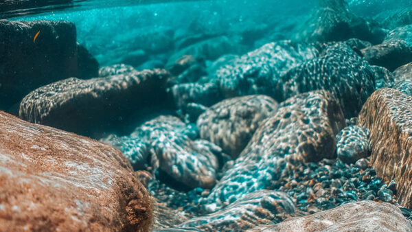 Wallpaper Underwater, Photography, Brown, Beautiful, Stones