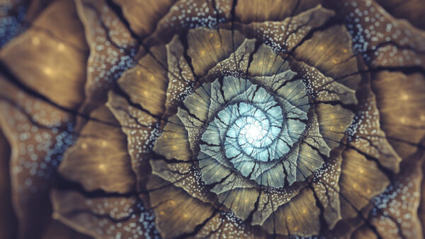 Wallpaper Glare, Abstract, Colorful, Fractal, Flower