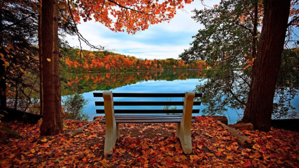 Wallpaper Fall, Lake, Dry, Leaves, Landscape, View, Reflection, Colorful, Stone, Trees, Bench, Autumn