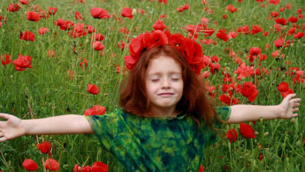 Wallpaper Cute, Wearing, Field, Flowers, Common, Poppy, Dress, Girl, Standing, Green, Little, Blue, Red