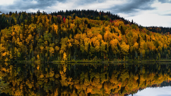 Wallpaper Reflection, Mountains, Fall, River, Trees, Yellow, Green, Autumn, Red, Black, Sky, White, Clouds