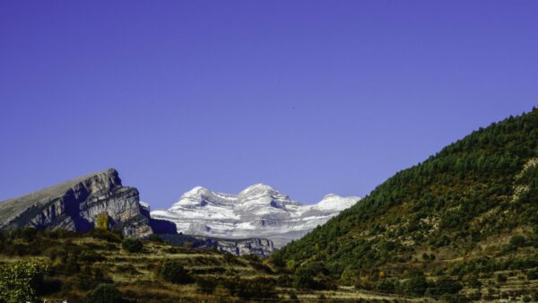 Wallpaper Mobile, Covered, Trees, Mountain, Desktop, Background, Mountains, Snow, Blue, Nature, Slope, Sky, Bushes, Grass