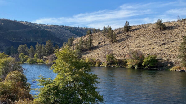 Wallpaper Nature, Greenery, Hills, Bushes, Trees, Blue, Daytime, Under, Sky, River, During