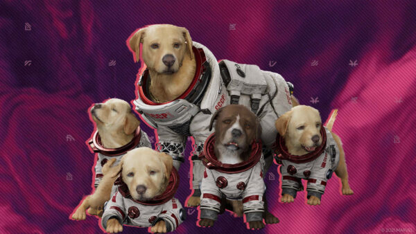 Wallpaper Guardians, Dog, Galaxy, Marvel’s, The