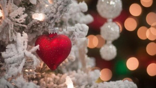 Wallpaper Heart, Red, Frozen, Lights, View, Closeup, Background, Tree, Christmas, Bokeh, Glitter